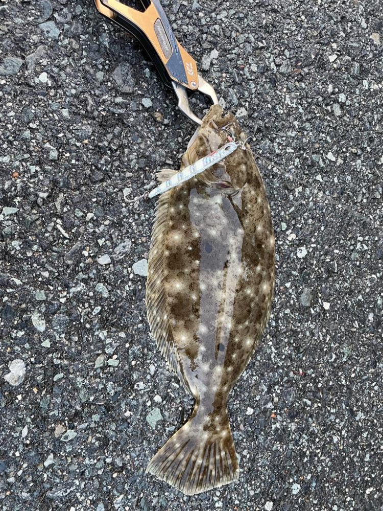 自身初釣果‼️