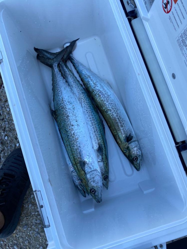 内向きでした。