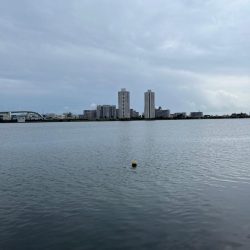 今日もハゼクラ！