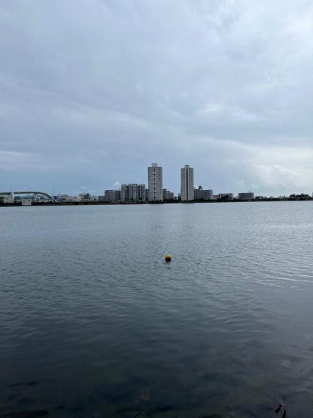 今日もハゼクラ！