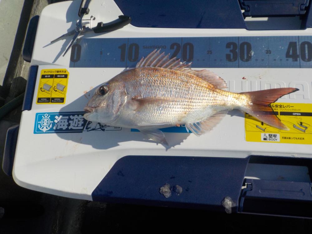 完全フカセ第2 戦→初天秤フカセ　〜倉丸〜