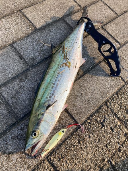 水質悪くボトム攻め。何とか青牙サゴシ1本。…