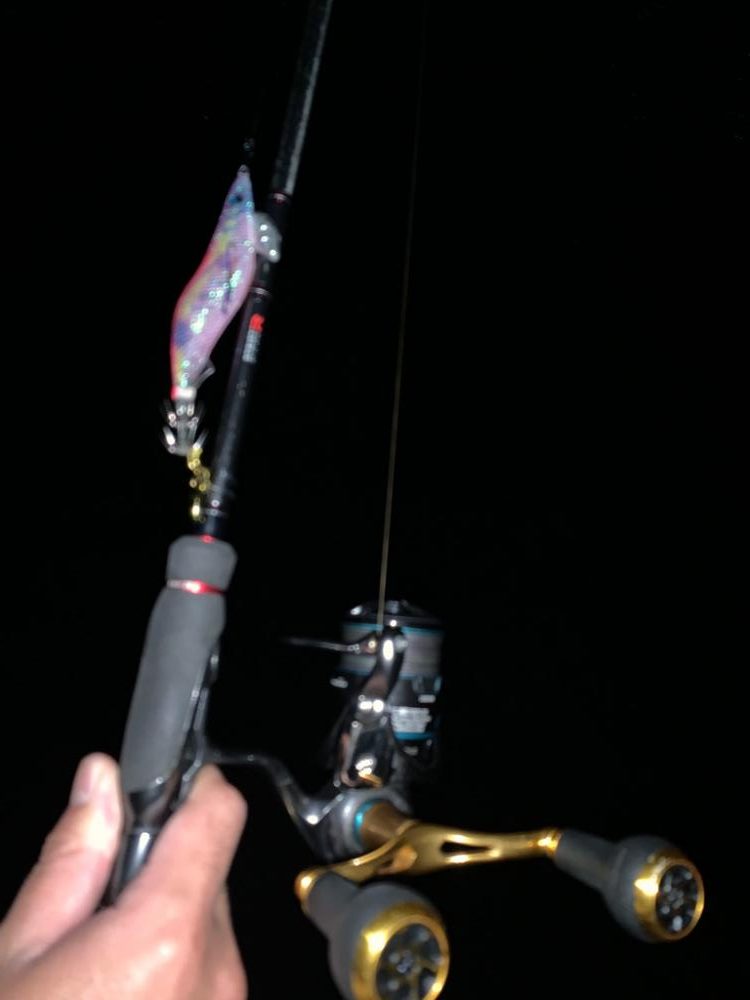 ないとエギングルーティーン