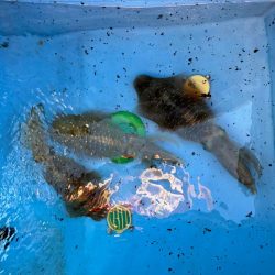 お友達と一緒に