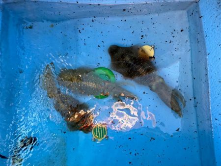 お友達と一緒に