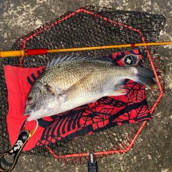 ヘチってきました