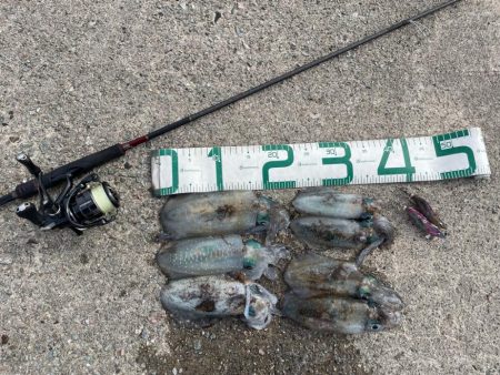 2023 佐渡ヶ島エギング 22回目【10…