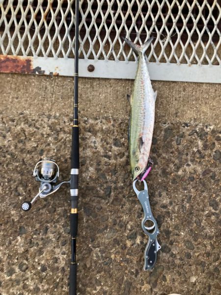 ⭐︎エソガイド