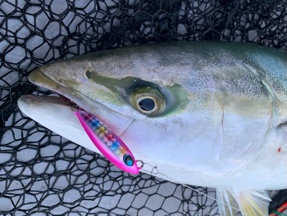 ブレードジギング