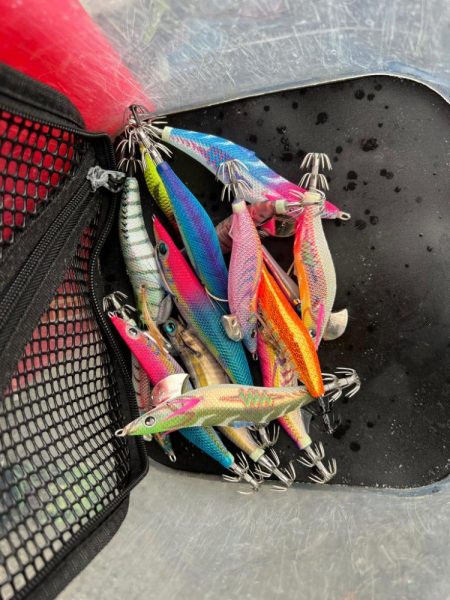 烏賊を探して三千里 Vol.3