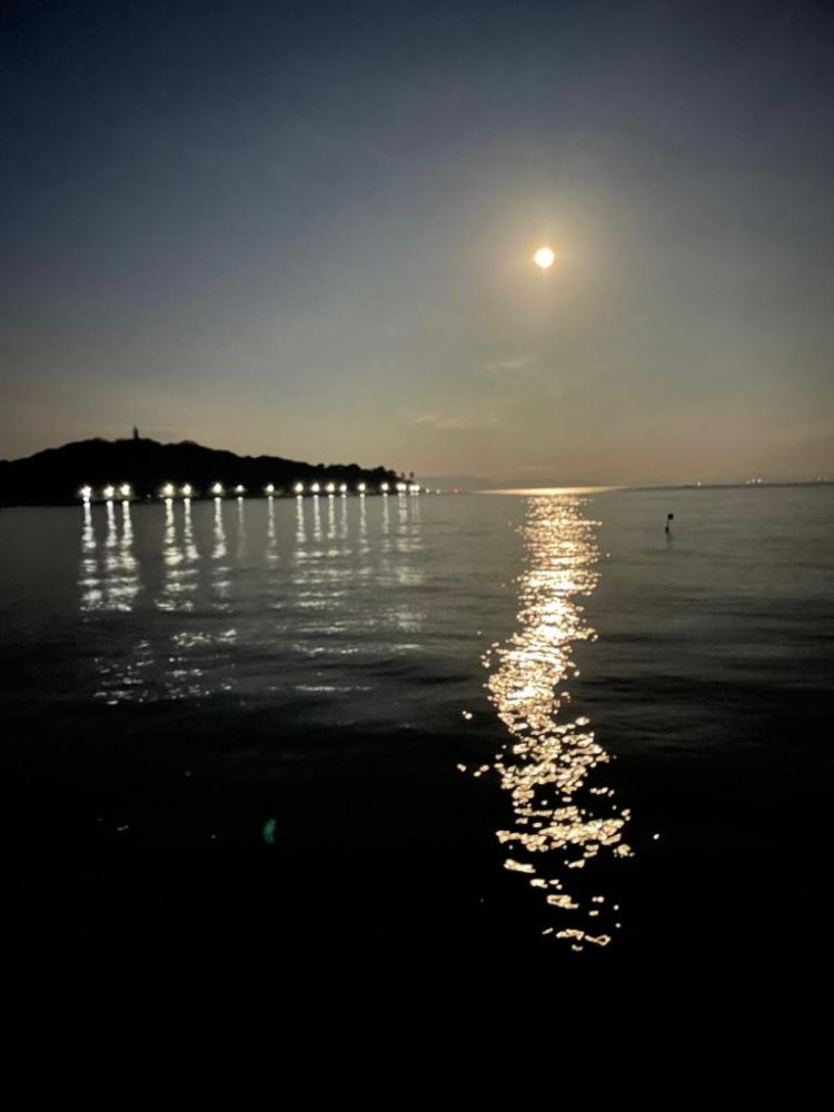 エギングからのカワハギ