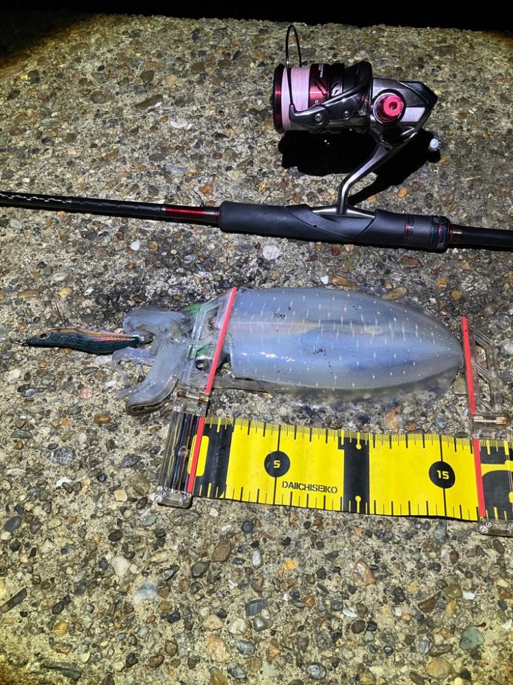 爆風、うねりの中ナイトエギングσ(^_^;)