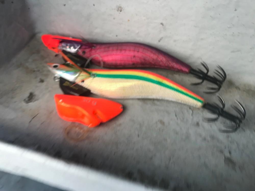 淡路島のティップラン