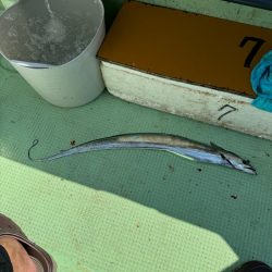 石定丸さんでタチウオテンヤ