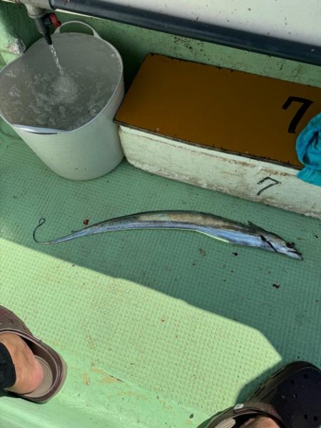 石定丸さんでタチウオテンヤ