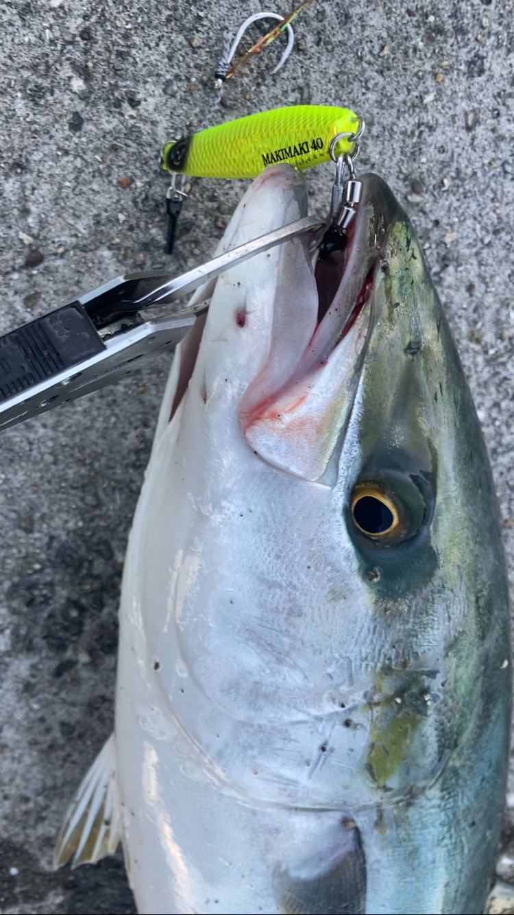 2023ライトゲーム第38戦