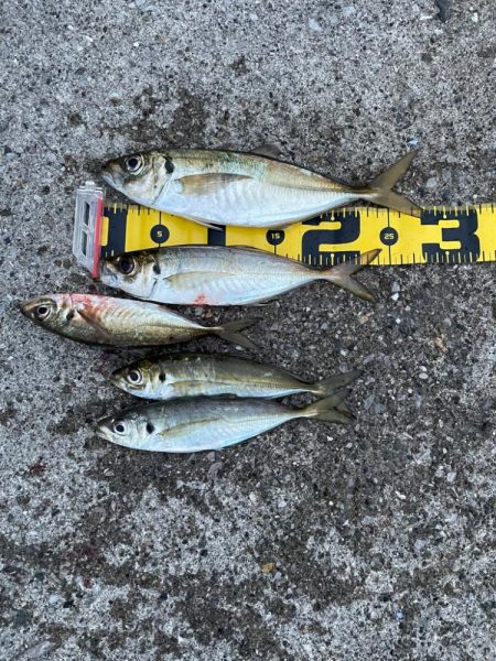 先週のリベンジへ