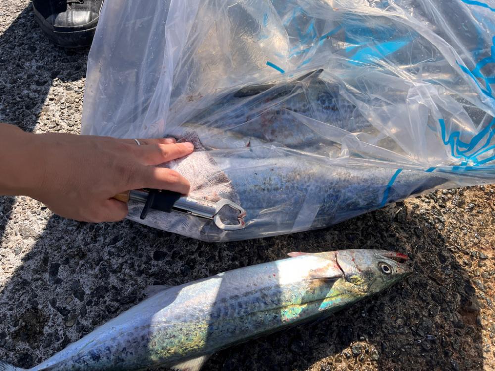 ブレードジグ超高速巻き