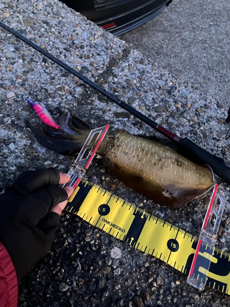 時合いは一瞬σ(^_^;)