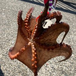 青物バレるも、、