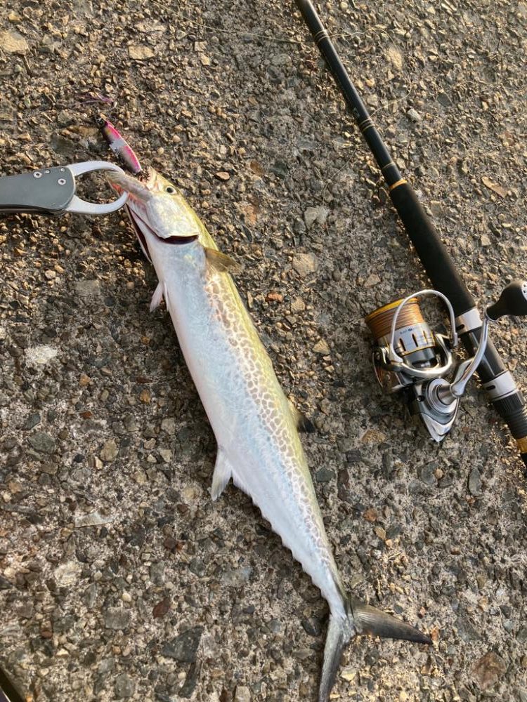 ⭐️もったいない釣行