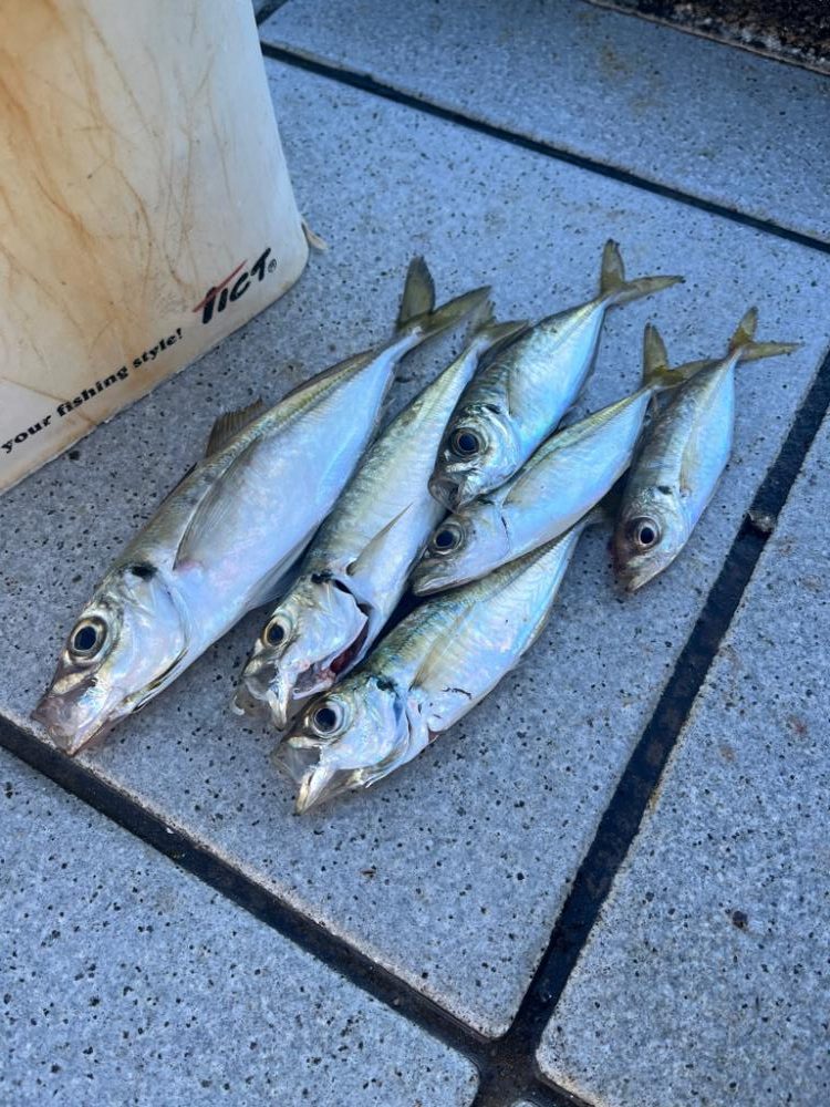 ど干潮からのスタート