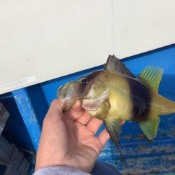 長崎で船釣り