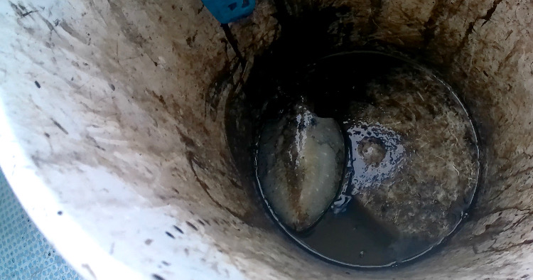 久々のティップラン