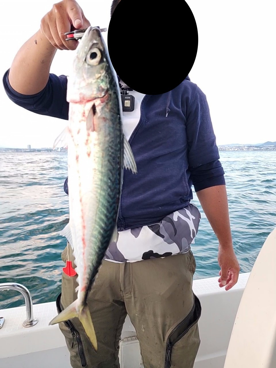 ハマチろうそく&サワラカッター多め