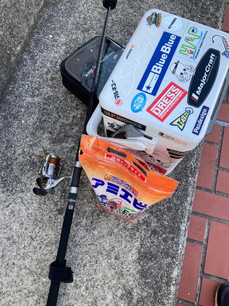 ⭐️サビキストへの道