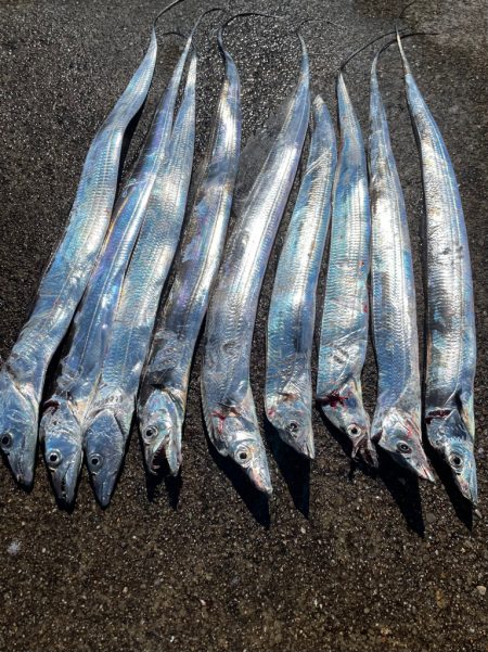 相変わらずのバラシ。