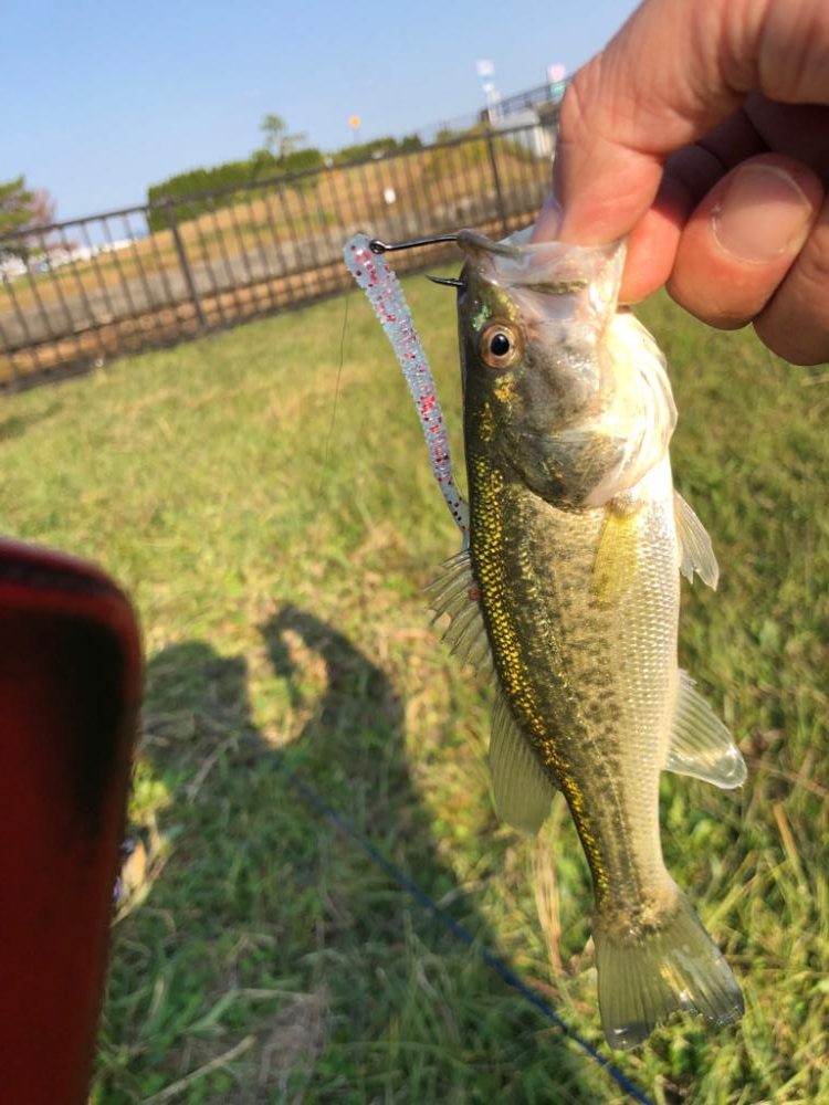 チビバスは元気