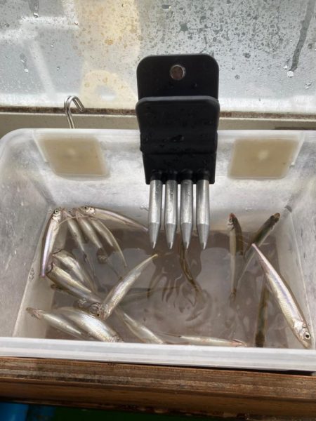 ワカサギドーム船