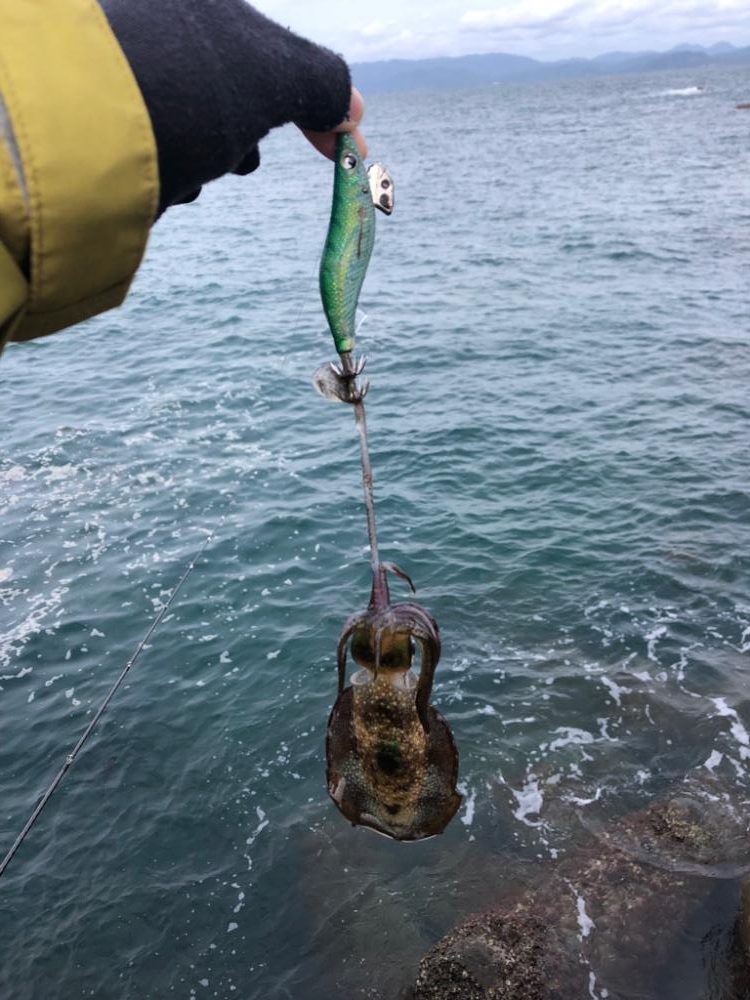 【舞鶴〜丹後エリア】デイエギング