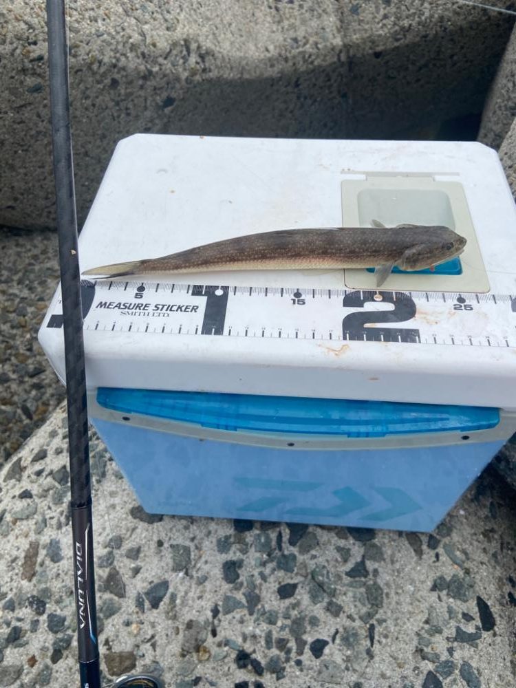 降りそで降らない、のんびりちょい投げDAY