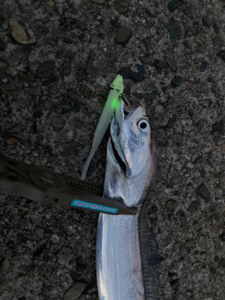 そろそろ入ってきたかな？