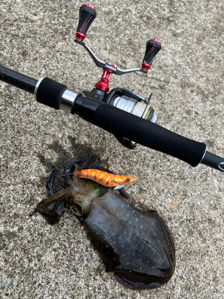 烏賊を探して三千里 Vol.5