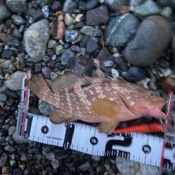 釣り方がダメなのか？