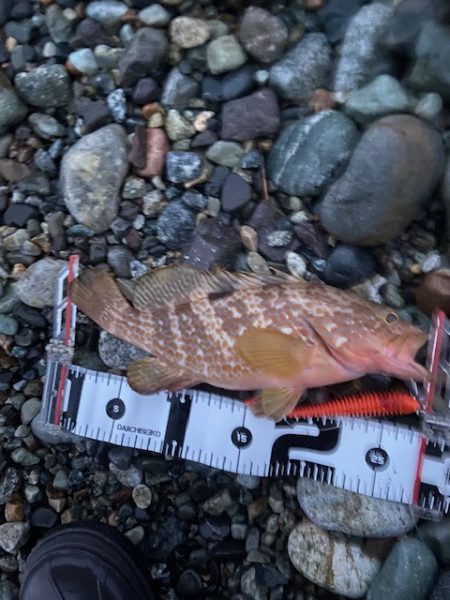 釣り方がダメなのか？