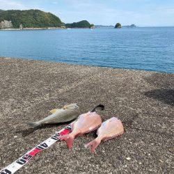 久礼新港外向き