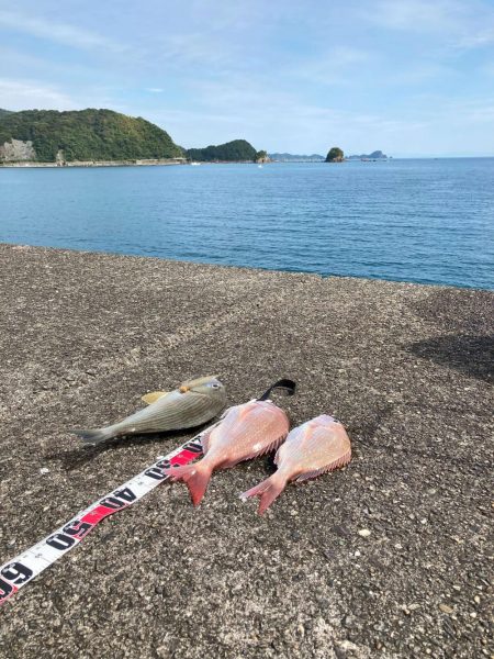 久礼新港外向き