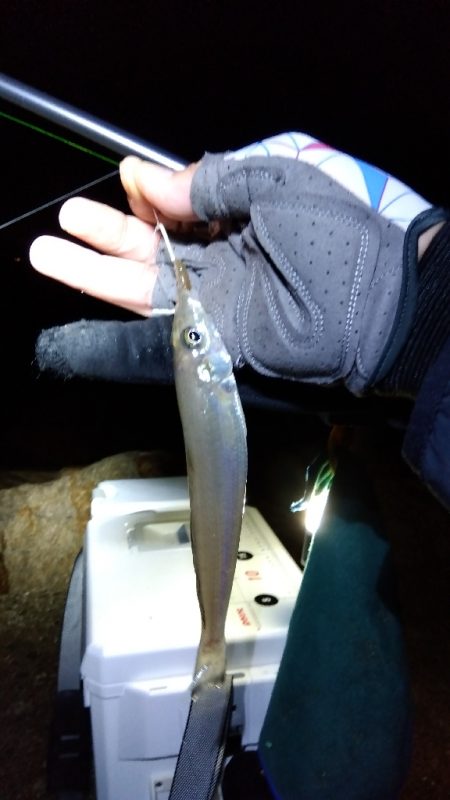 苅屋海岸のキス釣り