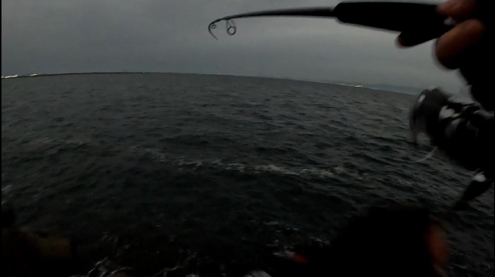 なんとか1本(^_^;)