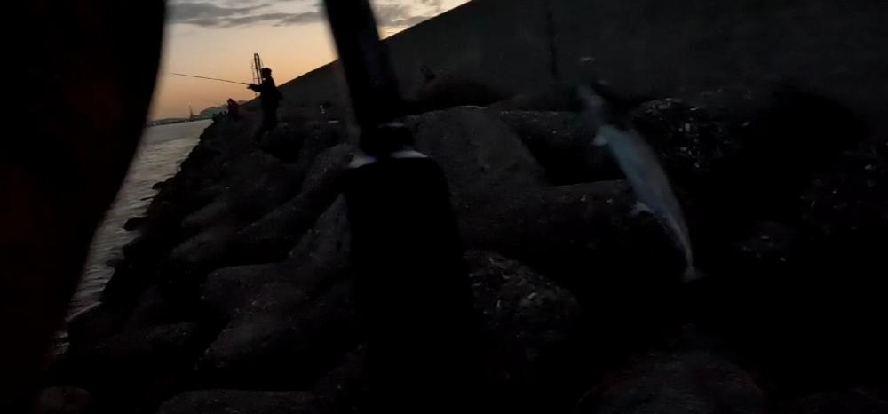 ナンテコッタ(๑°ㅁ°๑)‼