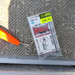 オール阪神杯でタチウオジギング