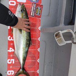 娘のライトジギング初挑戦（釣果はワニゴチ）