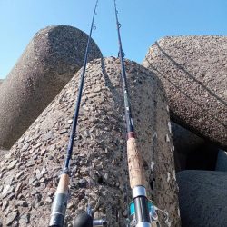 プチsalt water game