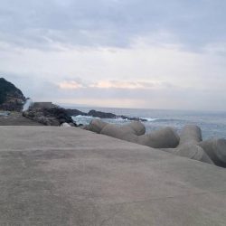 和歌山御坊の堤防でウツボ釣り