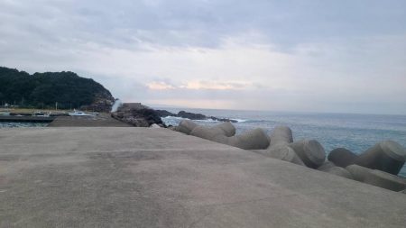 和歌山御坊の堤防でウツボ釣り