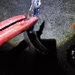 朝マズメ　タチウオ